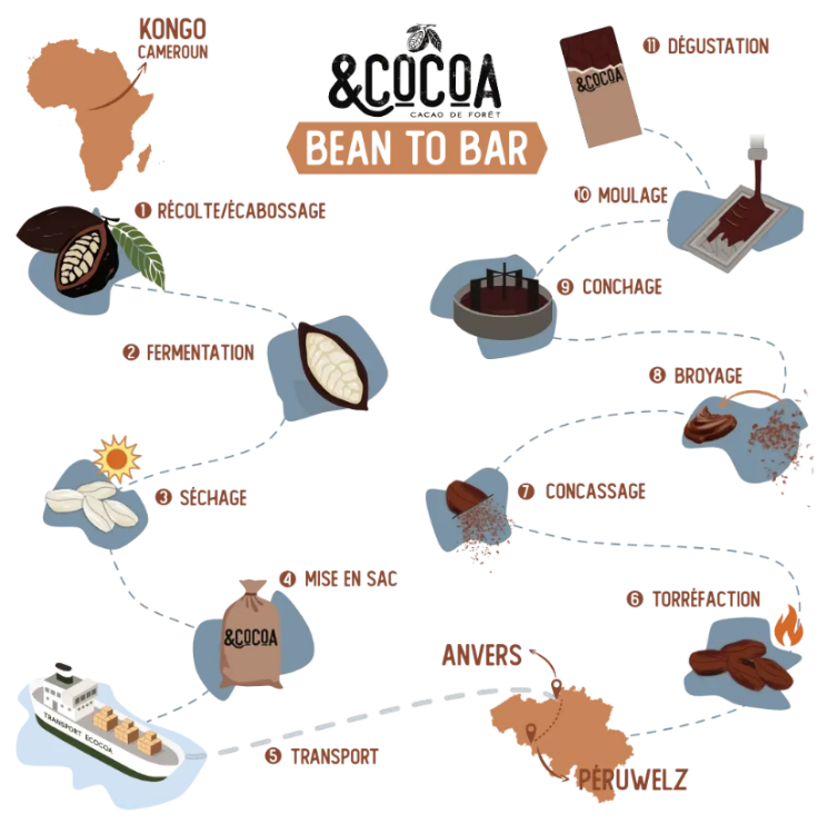 ecocoa 1